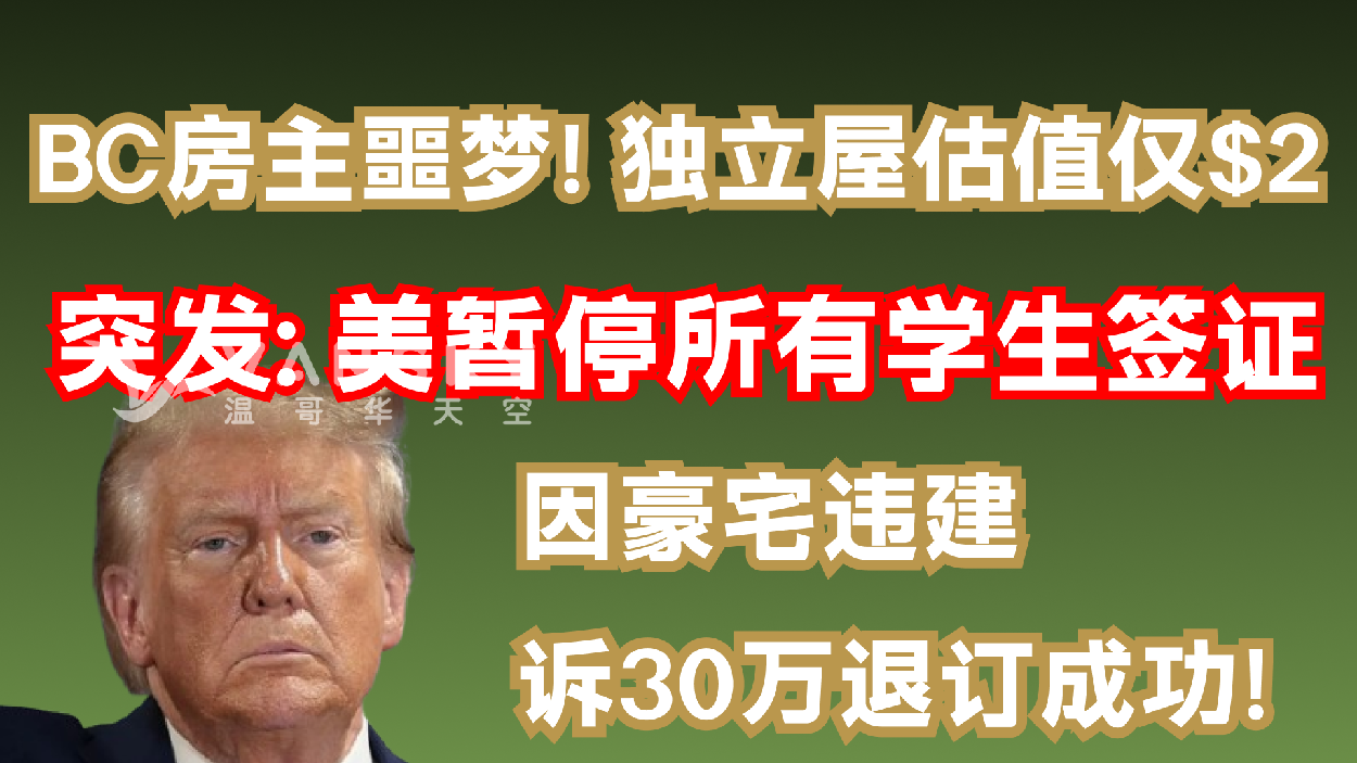 通用的占位符缩略图